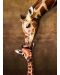 Puzzle Eurographics de 1000 piese - Sarutul girafei mama - 2t