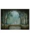 Heye 1000 piese puzzle - Pădurea întunecată - 2t