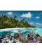 Puzzle Ravensburger din 2000 de piese - Scufundare în Maldive - 2t