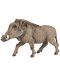 Figurina Papo Wild Animal Kingdom – Porc alergator - 1t