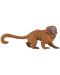 Figurina Papo Wild Animal Kingdom – Tamarin leu auriu - 1t