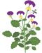 Umplutură sol Veritable - Lingot, Floricele tricolore, fără OMG - 3t