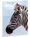 Dosar cu bandă elastică Ars Una The Eyes of the Wild A4 - Zebra - 1t