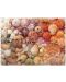 Puzzle Galison din 1000 de piese - Scoici - 2t