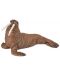 Figurina Papo Marine Life – Morsa - 1t