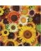 Puzzle Galison din 500 de piese - Floarea soarelui - 2t