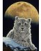 Puzzle Grafika de 1500 de piese - Leopardul lunii - 2t