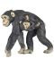 Figurina Papo Wild Animal Kingdom – Familie de cimpanzei - 1t