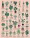 Puzzle Galison din 1000 de piese - Plante - 2t