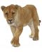 Figurina Papo Wild Animal Kingdom – Leoaica - 1t