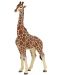 Figurina Papo Wild Animal Kingdom – Girafa mascul - 1t