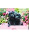 Puzzle Eurographics de 500 XXL piese - Black Labs in Pink Box - 2t