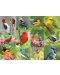Puzzle Springbok de 500 piese - Birds of A Feather - 2t