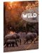 Dosar cu bandă elastică Ars Una The Eyes of the Wild A4 - Un elefant - 1t