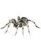 Figurina Papo Wild Animal Kingdom – Tarantula - 1t