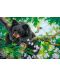 Castorland 500 piese puzzle - Ursul pe un copac  - 2t