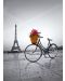 Puzzle Clementoni de 500 piese - Plimbare romantica in Paris - 2t