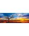 Puzzle panoramic Schmidt de 1000 piese - Stejarul desertului la apusul soarelui, Mark Gray - 2t