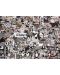Puzzle Cobble Hill de 1000 piese - Animale alb-negru, Shelley Davis - 2t