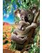 Puzzle Educa de 500 piese - Mom and Baby Koala - 2t