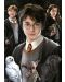 Puzzle Educa din 1000 de mini-piese - Harry Potter, miniatură - 2t
