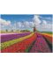 Puzzle Good  Puzzle din 1000 de piese - Flori în Olanda - 2t