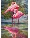 Puzzle Cherry Pazzi de 1000 piese – Viata de Flamingo - 3t
