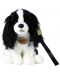 Jucărie de pluș Rappa Eco Friends - Câine Cavalier King Charles Spaniel, 27 cm - 1t