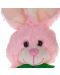 Jucării Teddy Bunny Tea Toys - Benny, 28 cm, cu morcov, roz - 2t