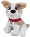 Jucărie de pluș Amek Toys - Câine cu lesă, bej și alb, 18 cm - 1t