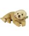 Jucărie de pluș Rappa Eco Friends - Câine labrador, 38 cm - 1t