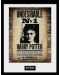 Afiș înrămat GB eye Movies: Harry Potter - Undesirable No.1 - 1t
