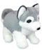 Jucărie de pluș Wild Planet - Cățeluș Husky, 25 cm - 1t