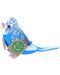 Jucărie de pluș Rappa Eco friends - Papagal lânos, cu sunet, albastru, 11 cm - 1t
