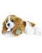 Jucărie de pluș Rappa Eco Friends - Câine Cavalier King Charles Spaniel culcat, 30 cm - 1t