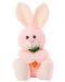 Jucării Teddy Bunny Tea Toys - Benny, 28 cm, cu morcov, roz - 1t