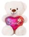 Jucărie de pluș Amek Toys - Ursuleț de pluș cu inimă de cameleon, alb, 16 cm - 1t
