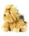 Jucărie de pluș Rappa Eco Friends - Yorkshire Terrier Dog, așezat, 30 cm - 2t
