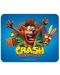Mousepad ABYstyle Games: Crash Bandicoot - Crash - 1t