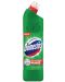 Detergent Domestos - Бор, 750 ml - 1t