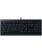 Tastatura gaming Razer - Cynosa Lite, US Layout, neagra - 1t