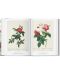 Redoute. The Book of Flowers (40th Edition) - 5t