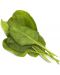 Semințe Click and Grow - Green Chard, 3 rezerve - 2t