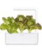 Semințe Click and Grow - Red Romaine lettuce, 3 rezerve - 3t