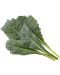 Semințe Click and Grow - Italian Kale, 3 rezerve - 2t