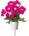 Semințe Click and Grow - Pink petunia, 3 rezerve - 3t