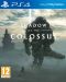 Shadow of the Colossus (PS4) - 1t