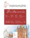 Bloc de schițe Hahnemuhle Britania - 30 x 40 cm, hârtie aspră, 12 coli - 1t