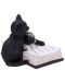 Statuetă Nemesis Now Adult: Gothic - Mischievous Feline, 10 cm - 4t