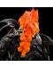 Statueta Weta Movies: The Lord of the Rings - Balrog, 27 cm	 - 5t